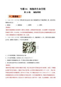 新高考生物一轮复习小题过关训练第10练 细胞增殖（含解析）