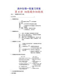 新高考生物一轮复习学案：第4讲　细胞膜和细胞核（含解析）