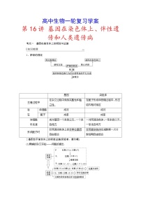 新高考生物一轮复习学案：第16讲　基因在染色体上、伴性遗传和人类遗传病（含解析）