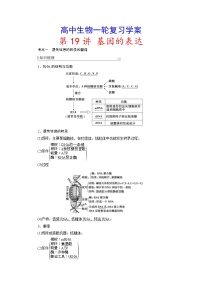 新高考生物一轮复习学案：第19讲　基因的表达（含解析）