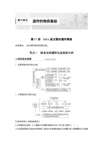 新高考生物一轮复习精品学案 第6单元 第17讲　DNA是主要的遗传物质（含解析）