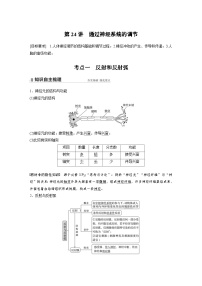 新高考生物一轮复习精品学案 第8单元 第24讲　通过神经系统的调节（含解析）