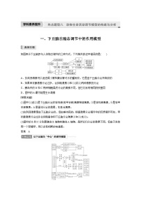 新高考生物一轮复习精品学案 第8单元 第25讲  热点题型八   动物生命活动调节模型的构建与分析（含解析）