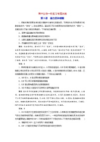 新高考生物一轮复习专题训练：第3讲 蛋白质和核酸（含解析）