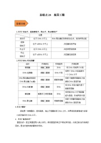 新高考生物二轮复习易错题精选练习易错点28  基因工程（含解析）