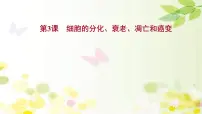 新高考生物一轮复习课件 第四单元 第3课 细胞的分化、衰老、凋亡和癌变（含解析）