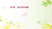 新高考生物一轮复习课件 第一单元 第3课 蛋白质和核酸（含解析）