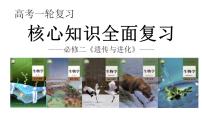 新高考生物一轮复习核心考点练习课件第31讲 染色体变异（含解析）