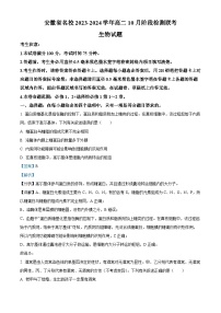 安徽省名校2023-2024学年高二生物上学期10月阶段检测联考试题（Word版附解析）