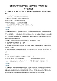 安徽师范大学附属中学2022-2023学年高一生物上学期期中试题（Word版附解析）