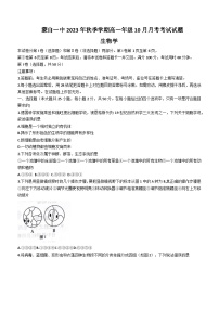 云南省蒙自一中与茚旺高中2023-2024学年高一上学期10月月考生物试题