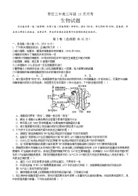 2024枣庄三中高三上学期10月月考试题生物含答案