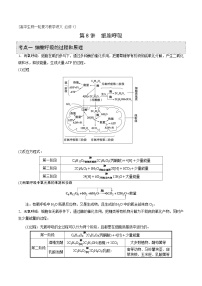新高考生物一轮复习精品讲义第8讲 细胞呼吸（含解析）