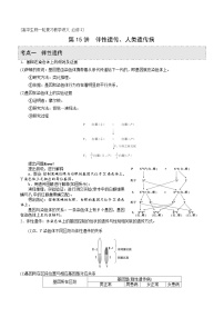 新高考生物一轮复习精品讲义第15讲 伴性遗传、人类遗传病（含解析）