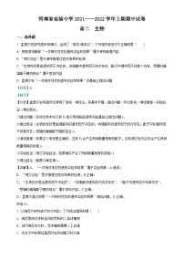 2022河南省实验中学高二上学期期中考试生物试题含解析
