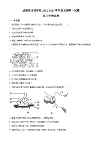 【期中真题】四川省成都外国语学校2022-2023学年高二上学期期中生物试题.zip