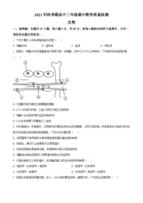 【期中真题】广西贵港市平南县2021-2022学年高二上学期期中教学质量检测生物试题.zip