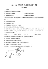 【期中真题】陕西省汉中市2021-2022学年高二上学期期中联考生物试题.zip