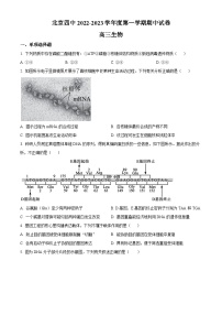 【期中真题】北京市四中2022-2023学年高三上学期期中生物试题.zip