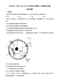 【期中真题】湖北省武汉市华中师范大学第一附属中学2022～2023学年高三上学期期中生物试题.zip