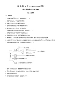 【期中真题】甘肃省西北师范大学附中2022-2023学年高三上学期期中生物试题.zip