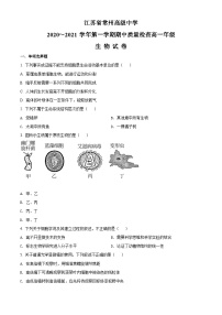 【期中真题】江苏省常州高级中学2020-2021学年高一上学期期中质量检查生物试题.zip