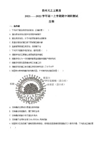 【期中真题】贵州省贵阳市2021-2022学年高一上学期期中调研生物试题.zip