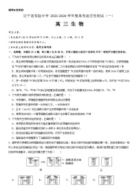 2024辽宁省实验中学高三上学期高考适应性测试（一）生物试题含答案
