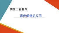 2024届高三生物二轮复习课件遗传规律应用（人类遗传病和遗传规律的综合及遗传实验设计）