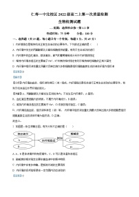 2024四川省仁寿一中北校区高二上学期10月月考生物试题含解析