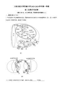 2024上海交大附中高三上学期10月月考试题生物含答案