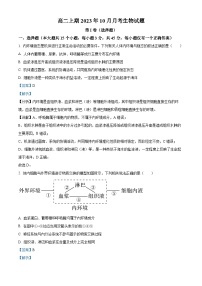 重庆市某校2023-2024学年高二生物上学期10月月考试题（Word版附解析）