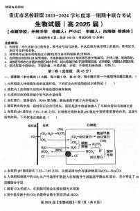 2024重庆市名校联盟高二上学期11月期中考试生物PDF版含答案