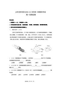 上海师范大学附属中学闵行分校2023-2024学年高一上学期期中考试生物试题