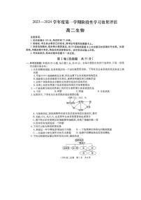 陕西省定边县第四中学2023-2024学年高二上学期期中考试生物试题