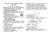 山东省聊城第一中学2023-2024学年高三上学期第二次阶段性测试生物试题