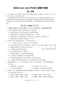 四川省凉山州西昌市2022-2023学年高一上学期期中考试生物试题