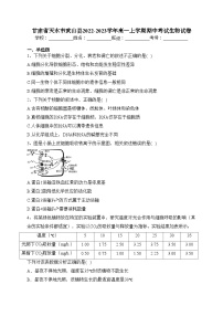 甘肃省天水市武山县2022-2023学年高一上学期期中考试生物试卷(含答案)