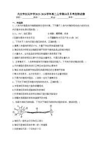 大庆市东风中学2023-2024学年高二上学期10月月考生物试卷(含答案)