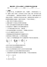 博爱县第一中学2024届高三上学期期中考试生物试卷(含答案)