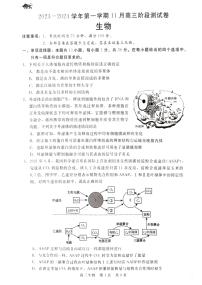 2024张家口张垣联盟高三上学期11月月考试题生物PDF版含解析