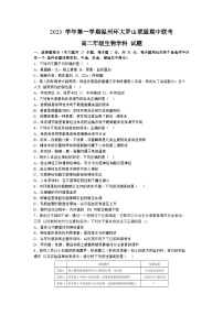 2024温州环大罗山联盟高二上学期期中联考生物试卷含答案