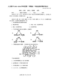 2024北京市中国人民大学附中高二上学期期中考试生物无答案