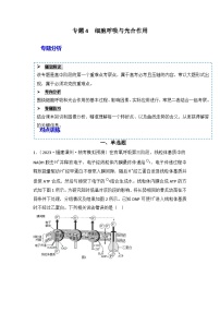 2024年高考生物一轮复习重难点训练 专题04 细胞呼吸和光合作用试题（含答案）