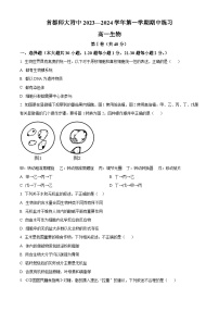 北京市首都师范大学附中2023-2024学年高一生物上学期期中考试试题（Word版附解析）