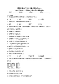 黑龙江省齐齐哈尔市普高联谊校2023-2024学年高一上学期10月期中考试生物试卷(含答案)