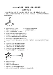 福建省福州市福清市高中联合体2023-2024学年高二上学期期中生物试题