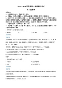 甘肃省酒泉市四校2023-2024学年高二生物上学期期中联考试题（Word版附解析）