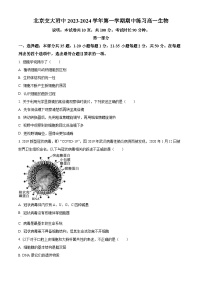 北京市交通大学附属中学2023-2024学年高一生物上学期期中考试试卷（Word版附解析）