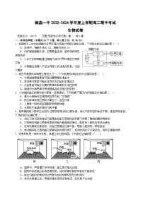 江西省南昌市第一中学2023-2024学年高二生物上学期11月期中试题（Word版附答案）